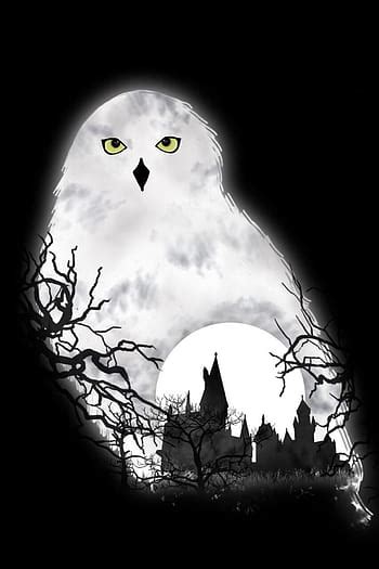 Harry Potter Hedwig HD wallpaper | Pxfuel