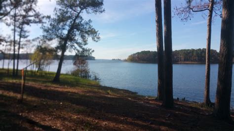 Lake Sam Rayburn in Pictures: December 2015