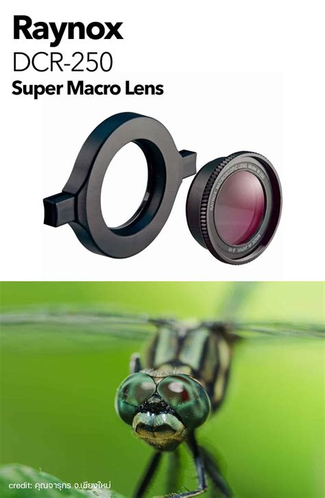 เลนส์มาโคร Raynox DCR-250 2.5x Super Macro Lens - CamGadgetWorld