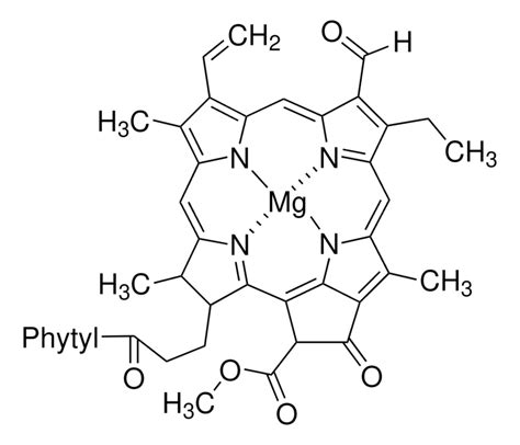 Pheophytin B Structure