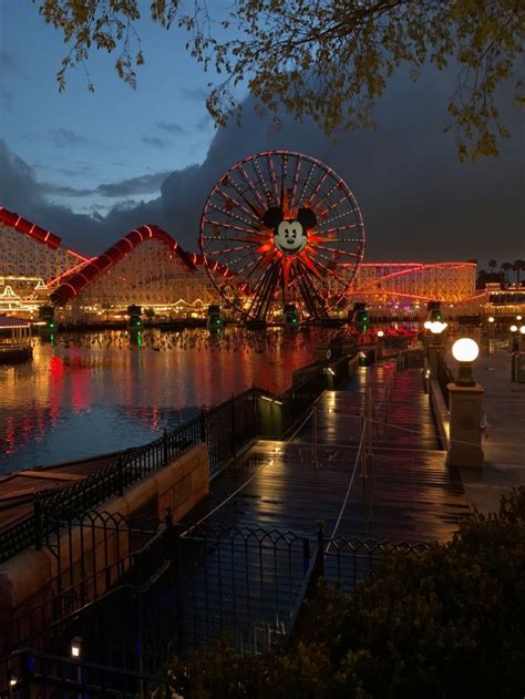 Disneyland in 2023 | My pictures, Disneyland, Picture