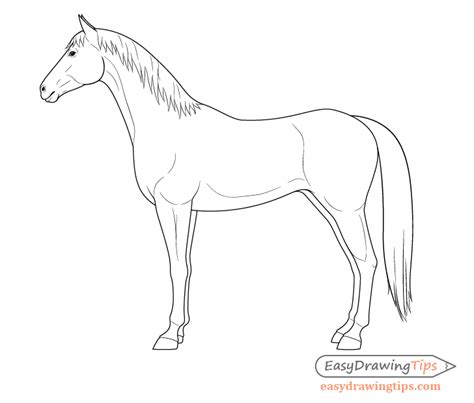 How to Draw a Horse From the Side View Tutorial - EasyDrawingTips | Horse drawings, Easy horse ...