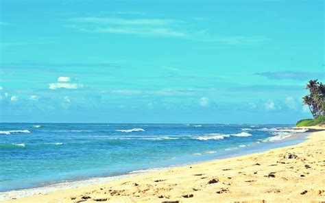 Ewa Beach, Hawaii | Ewa beach, Hawaii beaches, Beach