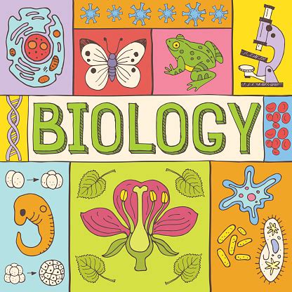 Biology Poster Stock Illustration - Download Image Now - iStock