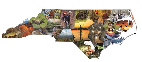 Affiliate of the Week: North Carolina Wildlife Federation : The ...