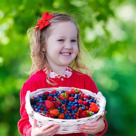 Little girl with fresh berries in a basket Stock Photo by ©FamVeldman ...