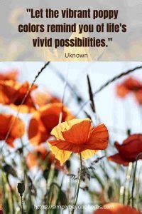 250 Captivating Poppy Quotes to Inspire - SimplyBeyondHerbs