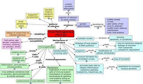 Viral pathogenesis part 2