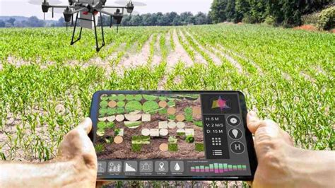 Artificial Intelligent Powered Precision Farming Can Change Food Industry