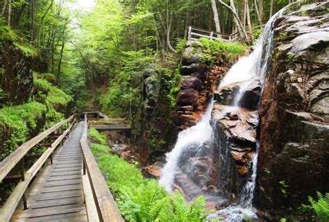 The Flume Gorge | Hiking Through History | Flume gorge, Summer ...