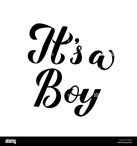 It s a boy calligraphy lettering isolated on white. Gender reveal sign ...