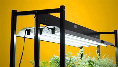 Best T8 Fluorescent Grow Lights | Shelly Lighting