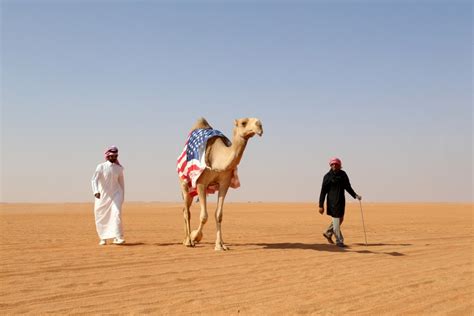 Here’s Something You’ve Never Heard Of—the American Camel Corps | The National Interest