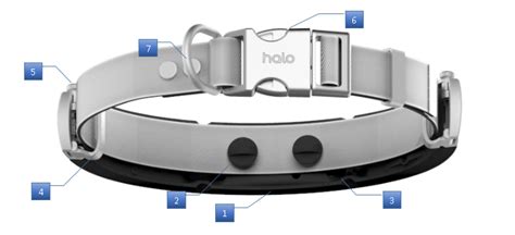 Halo Collar Overview – Halo Collar Help Center