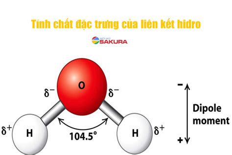 Liên kết hidro là gì? Cấu tạo, tính chất đặc trưng và công dụng - DYB