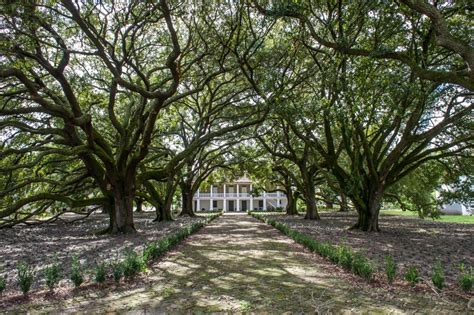 The Whitney Plantation: Museum in Louisiana tells the story of the ...