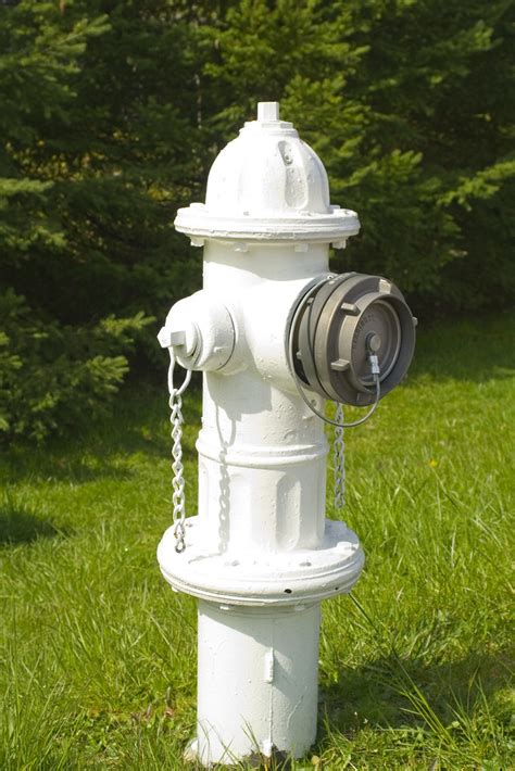 fire hydrant | White fire hydrant, outside in near noon sun.… | Flickr