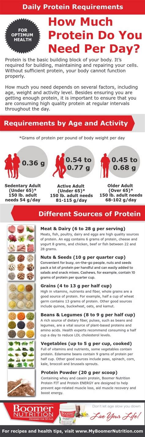 Daily Protein Requirements: How Much Protein Do You Really Need? - Boomer Nutrition | Protein ...