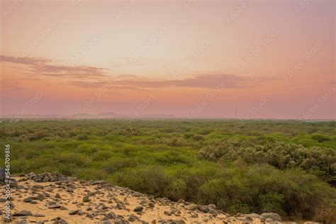 landscapes of saudi arabia Stock Photo | Adobe Stock