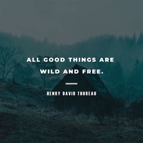 115 Henry David Thoreau Quotes That Paint His Life Philosophy