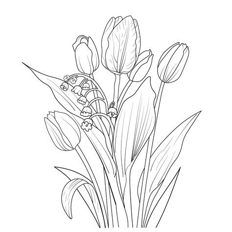 tulip flower, tulip flower bouquet, realistic tulip flower drawing, , outline tulip flower ...