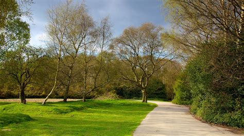 Sutton Park in Birmingham, England | Expedia