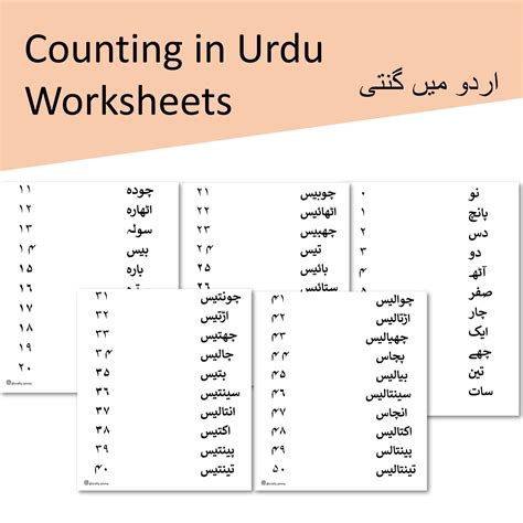 Urdu Matching Numbers Worksheet for Kids - Etsy Finland