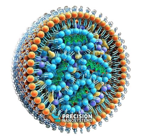 Preparation method of lipid nanoparticles - ADC Technologies