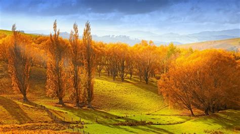 Burnt orange beauty of autumn - Arrowtown, New Zealand - backiee