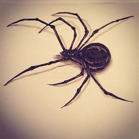 Scary Spider Drawing at GetDrawings | Free download