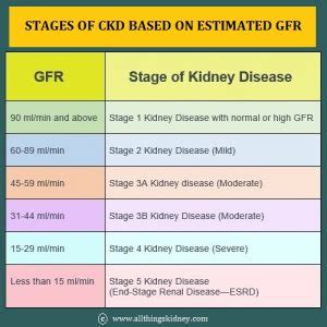 eGFR Calculators for Adults & Children - All Things Kidney ~ Official