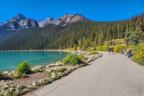 5 BEST Hikes in Lake Louise (that start from the Lakefront!)