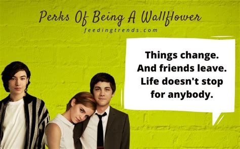 30 Perks Of Being A Wallflower Quotes For A Better Life Experience ...