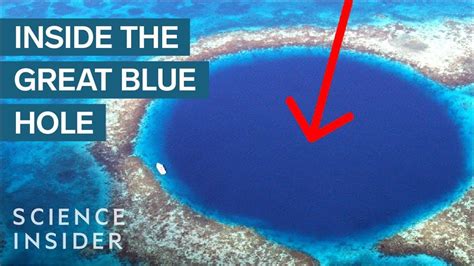 What's At The Bottom Of The Great Blue Hole? - YouTube in 2021 | Blue ...