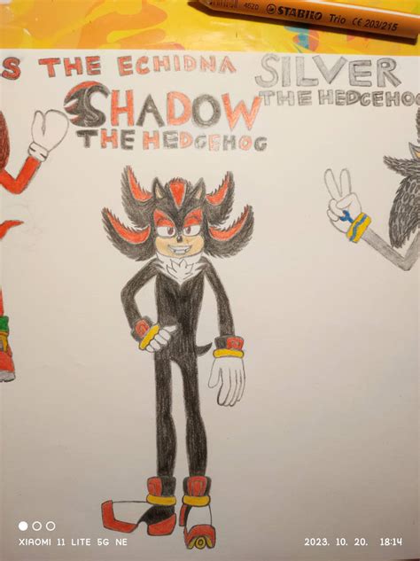 Shadow The Hedgehog Fanart by STH-Fan250 on DeviantArt