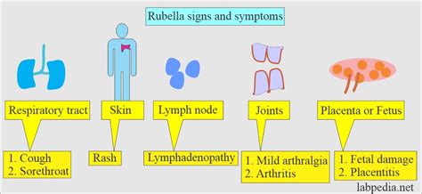 TORCH Profile:- Part 1 - Rubella virus - Labpedia.net