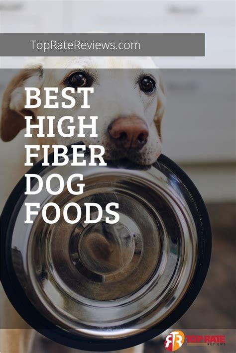 Best High Fiber Dog Foods in 2021 | Dog food recipes, Dog food reviews, Fiber for dogs