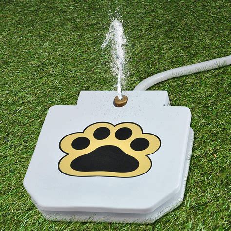 Paw-Activated Dog Water Fountain | The Green Head