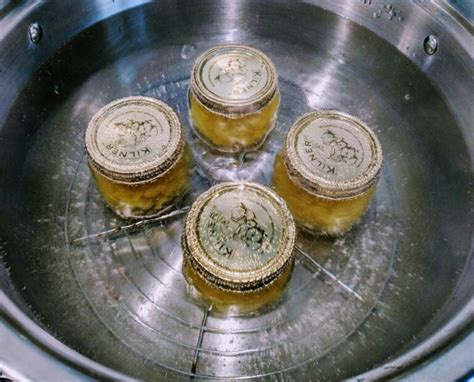 What Is Hot Water Bath Canning & How To Do It - Preserve & Pickle