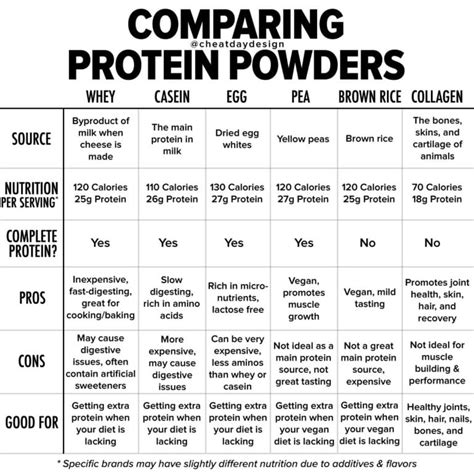 Which Is The Best Protein Powder For Baking? (Visual Guide)