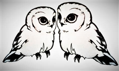 Two Owls Tattoo Idea Owl Tattoo, Raccoon, Owls, Tattoo Ideas, Ink ...