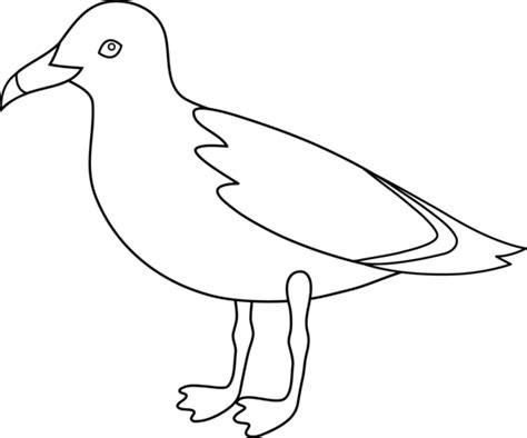 Seagull Line Art - Free Clip Art