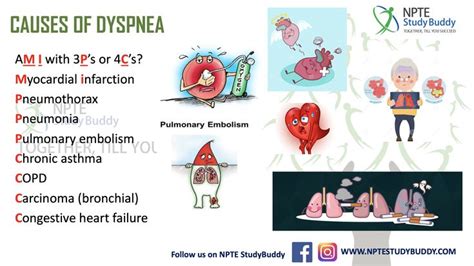 Causes of dyspnea | Nursing mnemonics, Pulmonary embolism, Myocardial ...