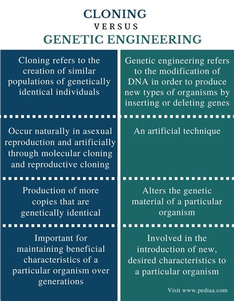 Difference Between Cloning and Genetic Engineering | Definition, Types, Process, Role and ...