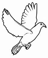 Pigeon Printable coloring Page  Download Print Or Color Online For Free sketch template