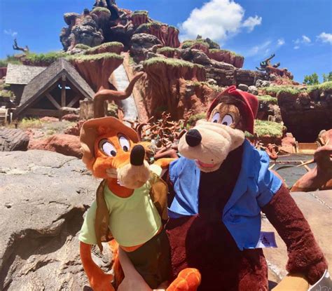 PHOTOS: New Brer Fox and Brer Bear Splash Mountain Plush Make Long ...