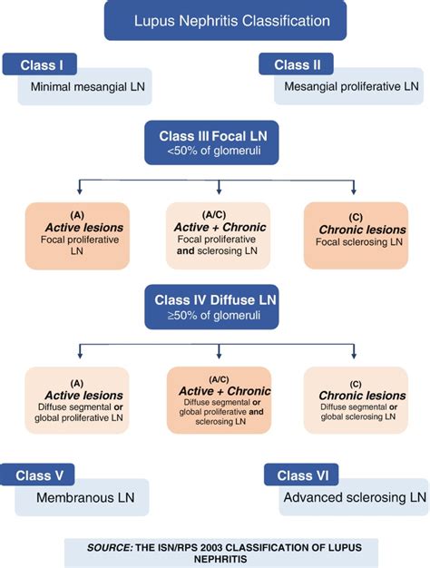 Fig. 25.6, [The ISN/RPS 2003 classification of lupus nephritis ...