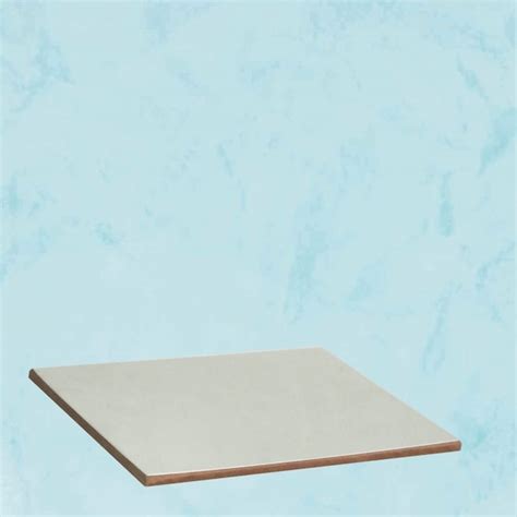 Vasari Zanzibar #53 Tintable Paint Sample (12-in x 12-in) in the Paint ...