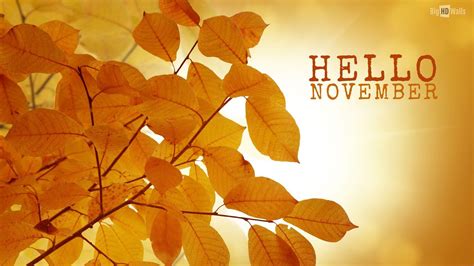 November Wallpapers - Top Free November Backgrounds - WallpaperAccess