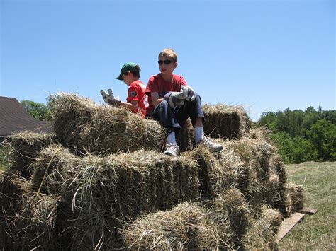 The Hardest Part of Bailing Hay With a Friend | Page 5 - TractorByNet